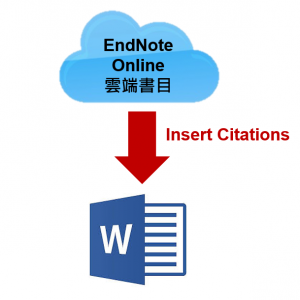 online plugin microsoft word endnote